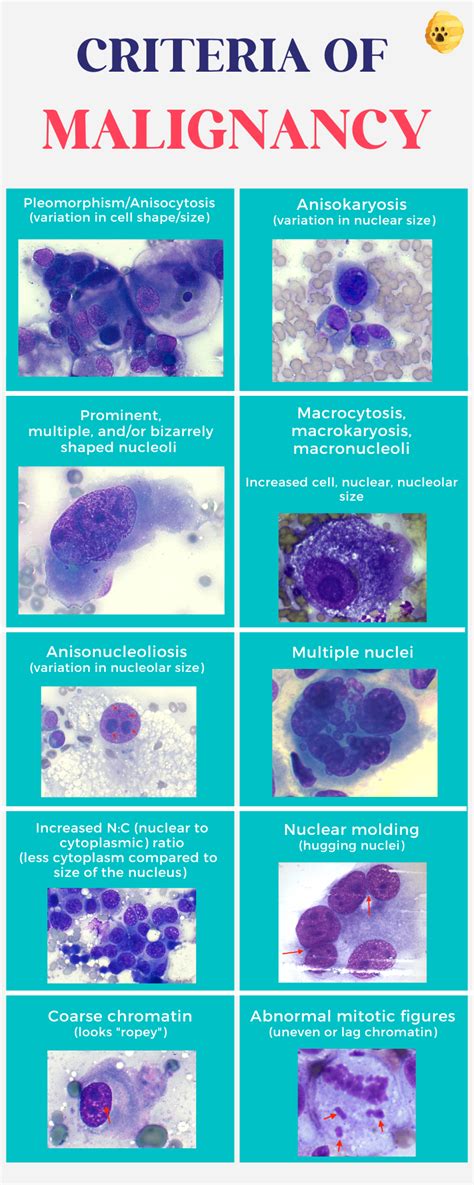 Criteria of Malignancy, Explained