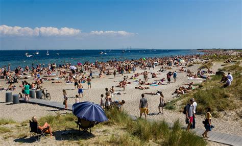 The 5 best local beaches and swimming spots in Copenhagen | The 500 ...