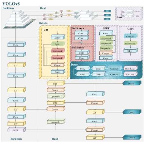 YOLOv8 model The backbone of YOLOv8 primarily comprises the C2f module ...