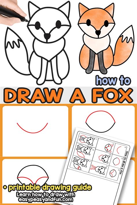 How to Draw a Fox – Step by Step Fox Drawing Tutorial - Mobitool