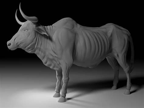 Ox 3D Models download - Free3D