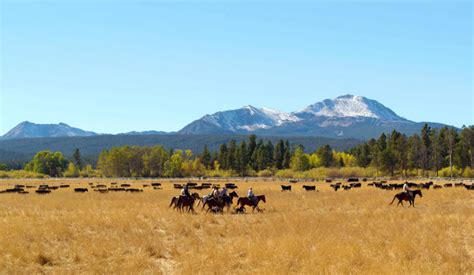 Montana Cattle Ranch For Sale: JY Bagby Ranch | Swan Land Company ...