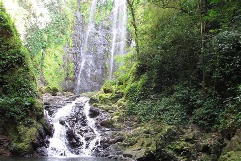 Hike To A Hidden Puerto Rican Waterfall Adventure: Triphobo