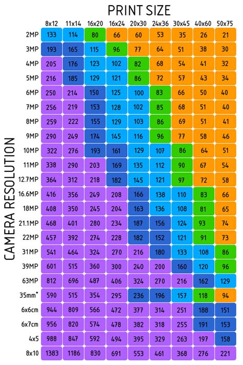 Largest Size Print Made From Camera Phone? (cameras, megapixels, 1 MP ...