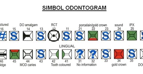 Odontogram - Dentistry Muhammadiyah University of Yogyakarta