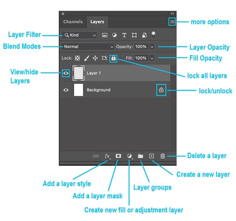 Photoshop Layers for Beginners: Basic Guides & Tips