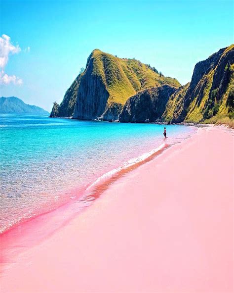 Pink beach explore komodo – Artofit