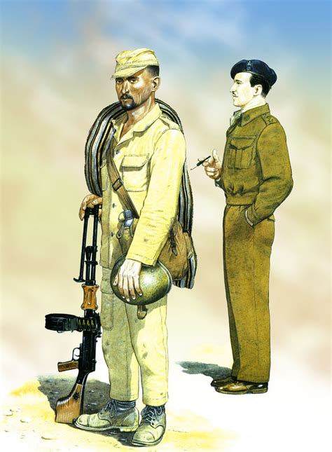 The Egyptian infantrymen 1956 | Military art, War art, Military history