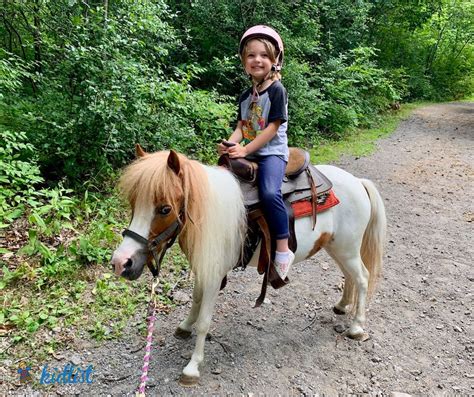 7 Places for Pony Rides and Pony Parties Near Chicago