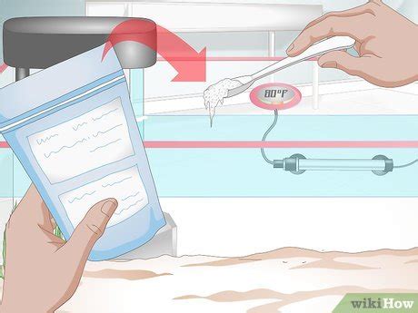 How to Cure Goldfish Dropsy: 15 Steps (with Pictures) - wikiHow