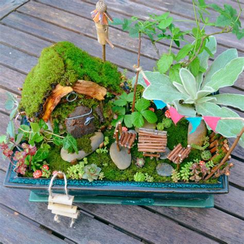 Indoor Miniature Garden Plants