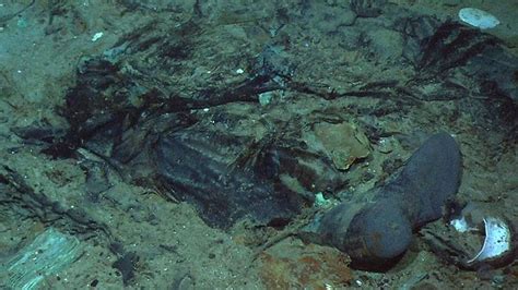 Human remains pictured at Titanic shipwreck site