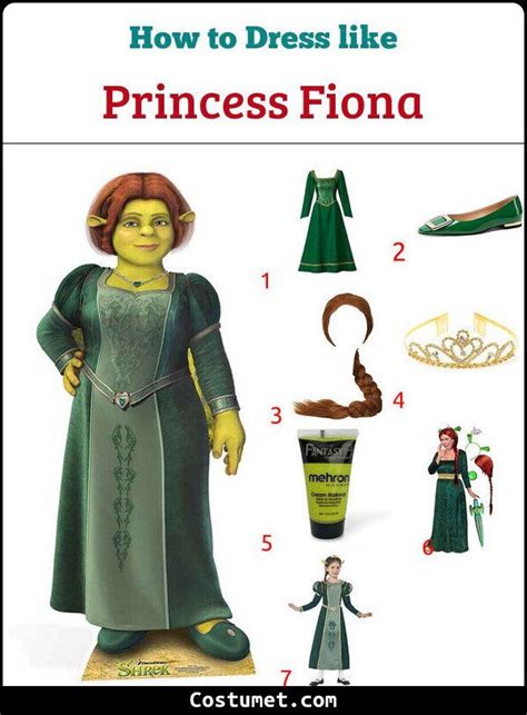 Shrek & Princess Fiona Costume for Cosplay & Halloween | Fiona costume ...