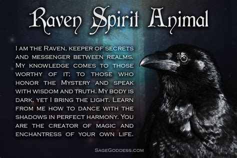 Pin by Cat Moonraven on Spirit Animals ☽ ☾ | Crow spirit animal, Raven ...