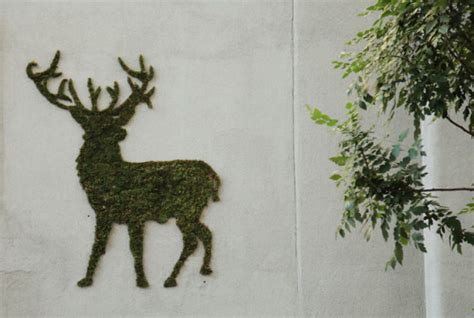 13 Incredible Examples of Moss Graffiti and How to Create Your Own