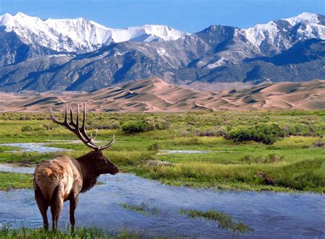 Great Sand Dunes National Wilderness Area – Mosca, CO