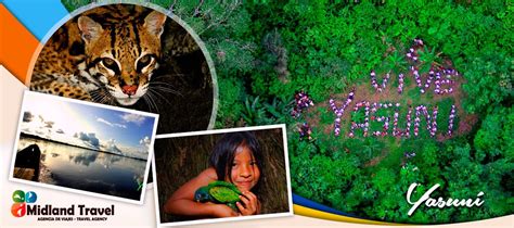 Photo of the Day ‪#‎Yasuní‬ National Park (‪#‎Ecuador‬) Yasuni is home ...