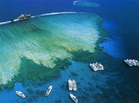 Diving the Straits of Tiran, Red Sea • Scuba Diver Life