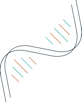 Mirxes | RNA Sequencing (RNA-Seq) | High Quality - Cost-Efficient