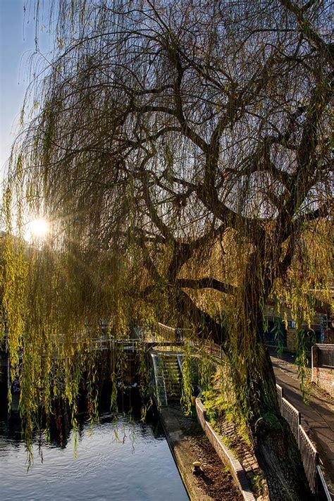 Camden Town Regent's Canal Photograph by Raymond Hill - Fine Art America