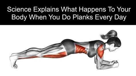 What Happens to Your Body When You Do Planks Every Day!