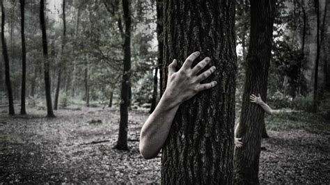 Top 10 Most HAUNTED Forests In the World!