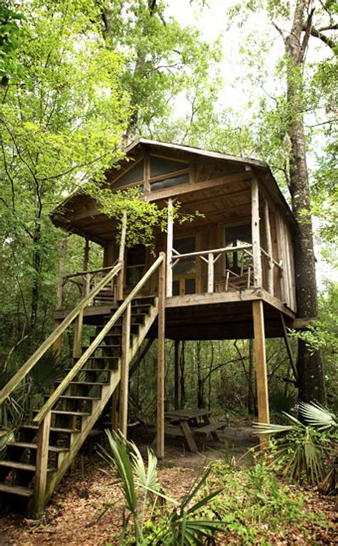 Edisto River Treehouses | Travel | Vacation Ideas | Road Trip | Places ...