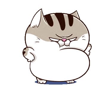 Fat Cat Gif