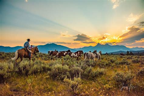 Heading for Sunset | Cowboy herding horses to the sunset | Wyoming ...