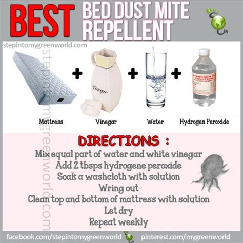 Bed dust mite repellant | Bed bugs, Dust mites, Dust mite spray