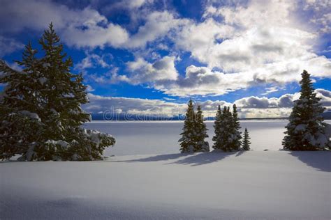 Yellowstone Lake in Winter stock image. Image of christmas - 8224331