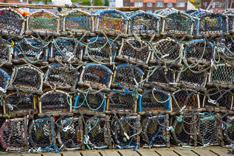 Crab Traps Free Stock Photo - Public Domain Pictures