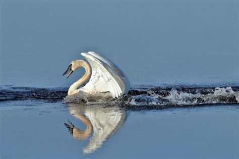 Seney National Wildlife Refuge | Michigan