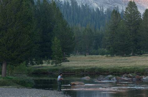 Fishing - Yosemite National Park (U.S. National Park Service)