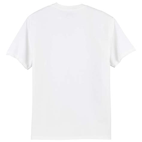 Hanes 5250 Authentic 100% Cotton T-Shirt - White | Full Source