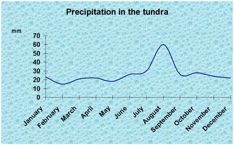 Temperature and Precipitation - Tundra Biome