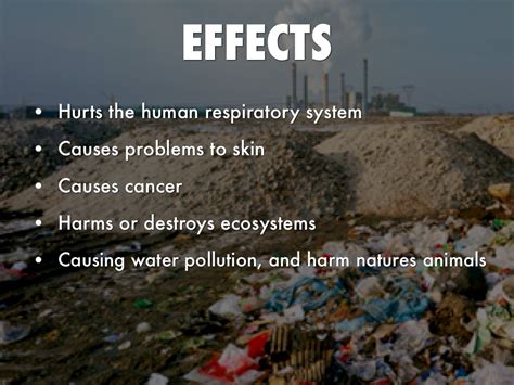 Effects Of Land Pollution On The Environment