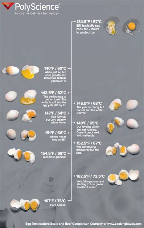 Sous Vide cooking time for eggs Cooking Basics, Cooking Recipes ...