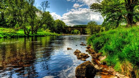 The Feral Irishman: Afternoon Serene Scene...