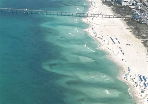 Florida Beach Deaths 2024 - Gerrie Roselle