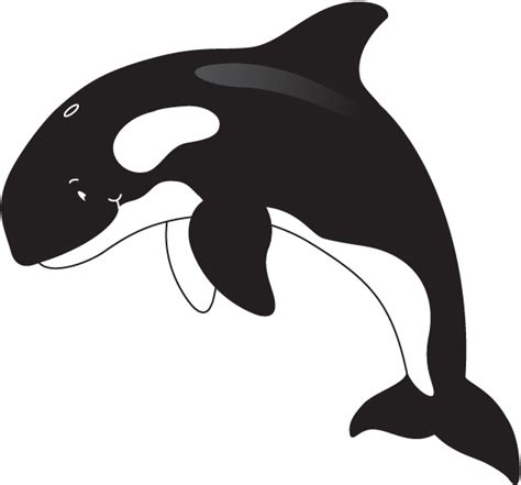 Orca whale clipart 4 - WikiClipArt