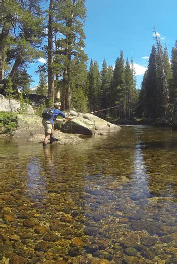 Fly Fish Fly Fishing in Yosemite National Park - Sierra Fly Fisher