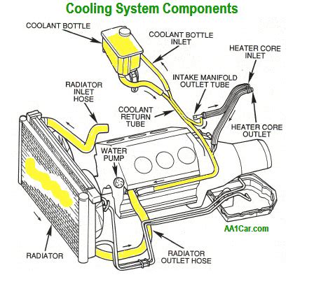 Cooling System Maintenance & Repair