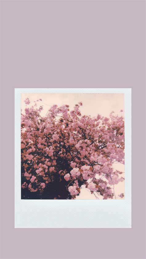 Purple Aesthetic Phone Wallpapers - Wallpaper Cave