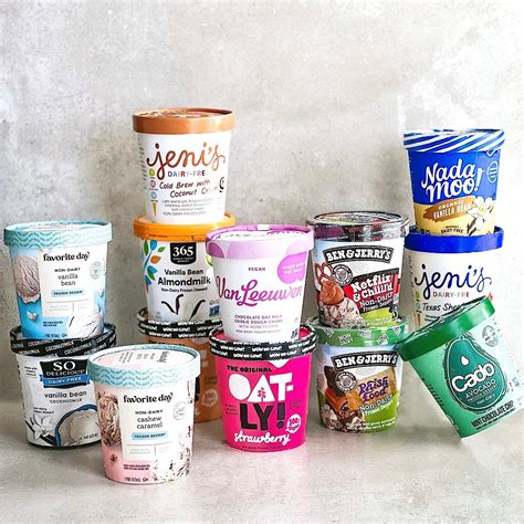 Plant-Based Ice Cream Brands Review - THE VGN WAY