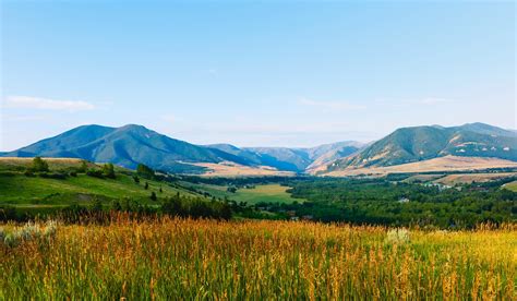 U.S. Fish & Wildlife Earmarks $250K to Montana for Grizzly Bear ...