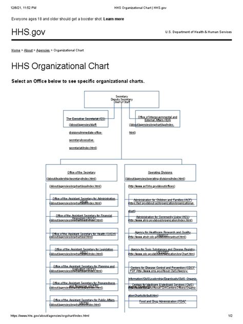 Hhs Organizational Chart Hhs | PDF | United States Department Of Health ...