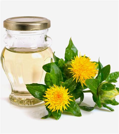 Safflower Oil for Skin: How To Use And Benefits