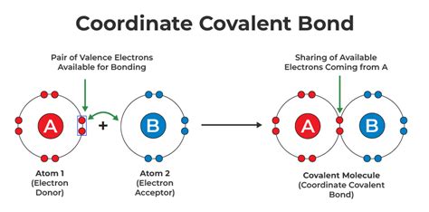 Covalent Bond - Definition, Examples, Types, Properties and FAQ (2023)