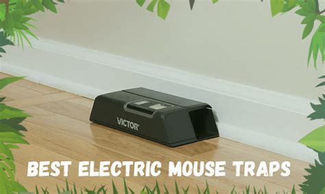 10 Best Electric Mouse Traps to Use in 2021 | Insect Hobbyist